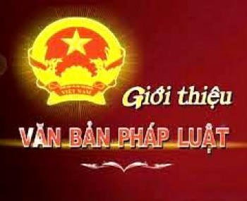 Một số văn bản mới có hiệu lực từ 01/8/2020