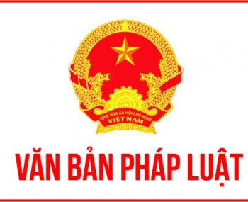 Các văn bản pháp luật có hiệu lực từ 01/09/2020
