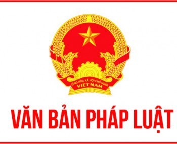 Các văn bản pháp luật có hiệu lực tháng 12/2020