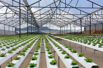 Vai trò của khoa học và công nghệ đối với sự phát triển của lực lượng sản xuất trong nông nghiệp, nông thôn Hà Tĩnh