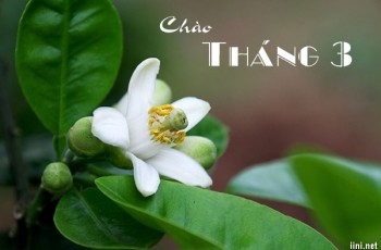 Chùm thơ Tháng Ba