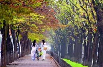 Hương sắc mùa thu