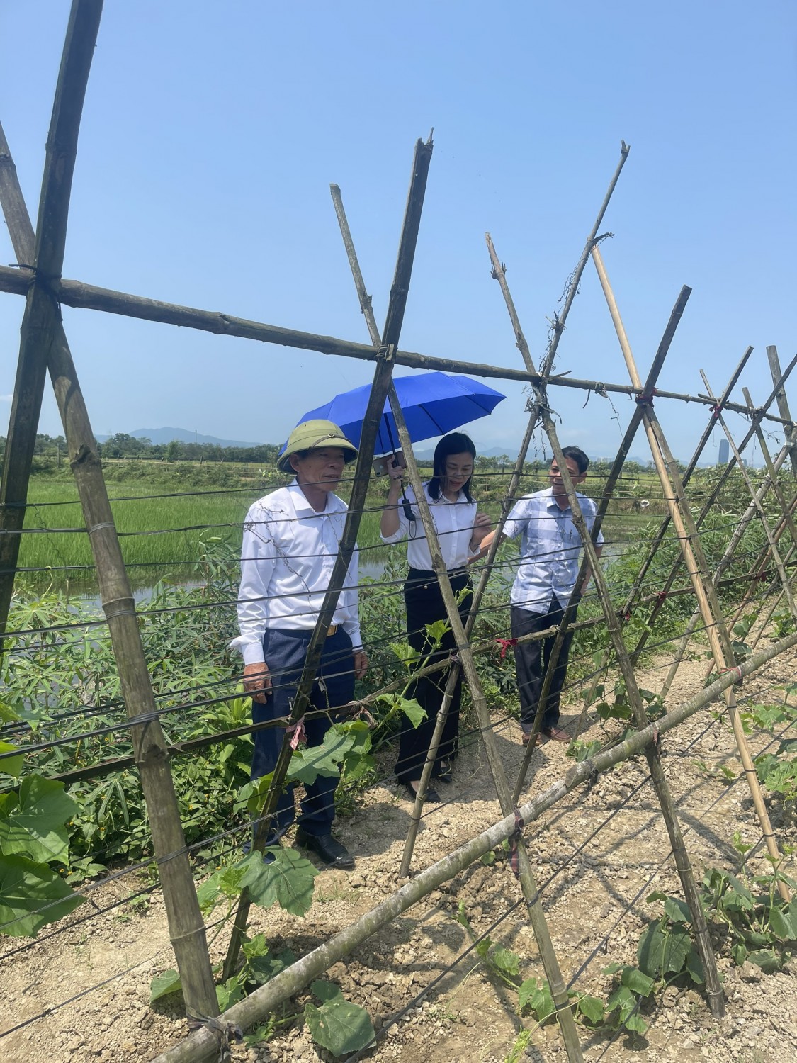 z4301387056209 1181153869c464a59b6635b606ef3b3e